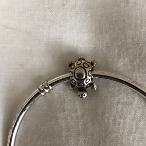 Pandora Turtle Charm